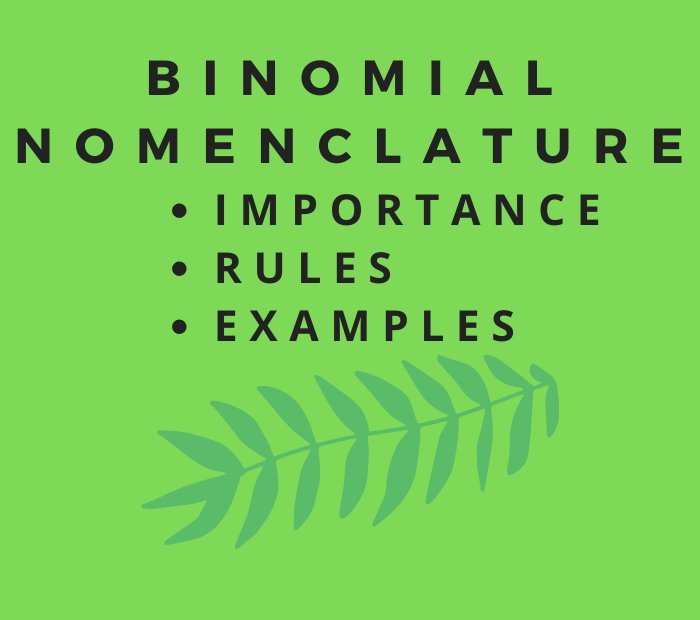 importance of binomial nomenclature